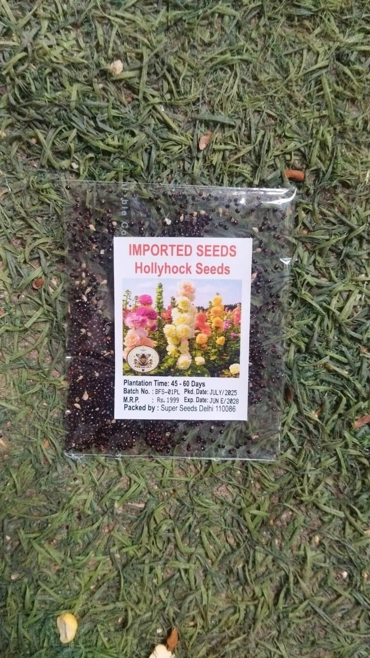 Premium Imported Hollyhock Flower Seeds – Vibrant Garden Blooms